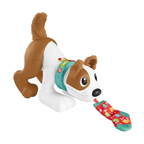Fisher-Price HGY00 - Bello der Krabbel-Hund – deutsche Edition, elektronisches Krabbelspielzeug mit Musik und Lerninhalten, Babyspielzeug für Babys und Kleinkinder ab 6 Monaten