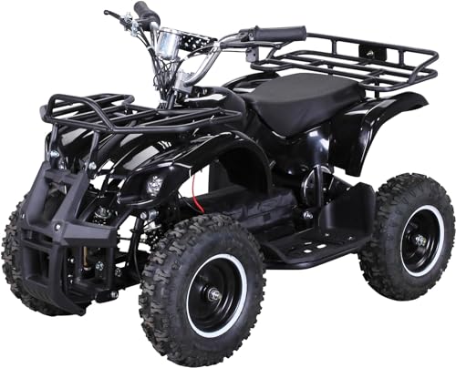 Actionbikes Motors Kinder Elektro Miniquad ATV Torino 𝟭𝟬𝟬𝟬 Watt 36 Volt - Scheibenbremsen - Umweltfreundlicher Elektromotor (1000 Watt Schwarz)