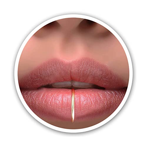 Fake Lippen Ring - Gold Fake Lippe Schmuck - Fake Lippenpiercing - 20G Fake Lippenring - Faux Lippenring,Fake Piercing,Clip Lippenring