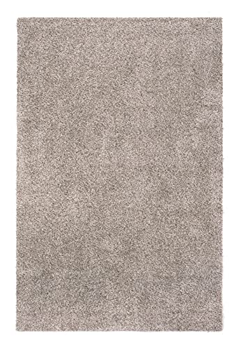 andiamo Fußmatte Samson - Schmutzfangmatte aus Baumwolle für den Hauseingang - einsetzbar als Fußmatte innen, Fußabtreter im überdachten Außenbereich oder als Haustiermatte 100 x 150 cm Hellbeige