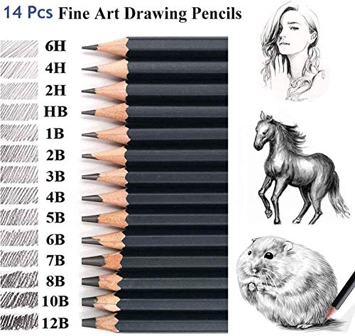 Coocnh Zeichenstifte-Set, 14-teilig, Zeichenstifte, 12B, 10B, 8B, 7B, 6B, 5B, 4B, 3B, 2B, B, HB, 2H, 4H, 6H, Graphit-Bleistifte für Kinder, Erwachsene, Künstler, Studenten, Anfänger, Profi