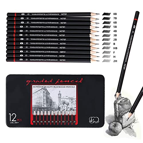 ariel-gxr Bleistift Set,12 Stück Zeichenstifte Skizzierstifte Set 8B 7B 6B 5B 4B 3B 2B B HB H 2H 4H Professionelle Bleistifte für Kinder Erwachsene Künstler Studenten Anfänger